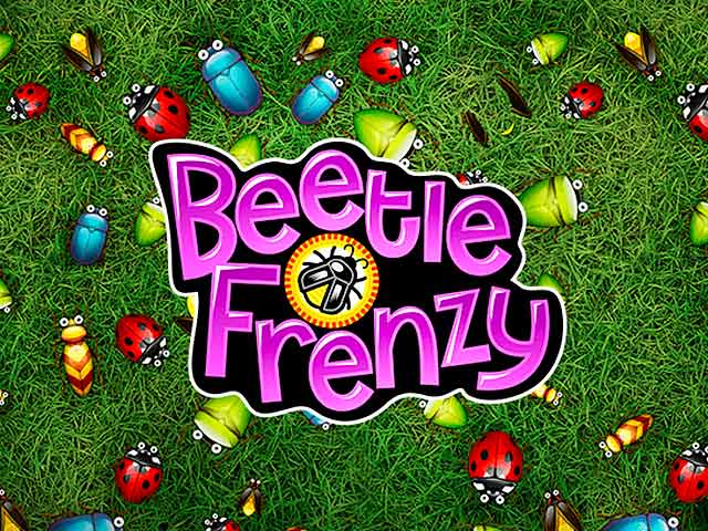 animals Beetle Frenzy